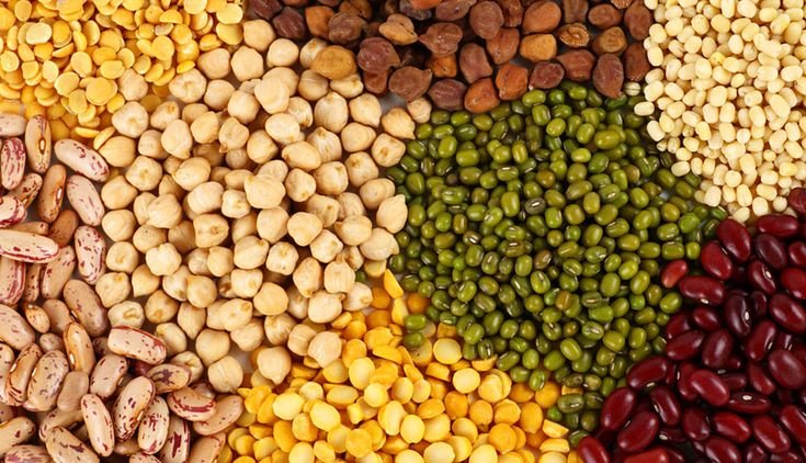 Agro Commodities